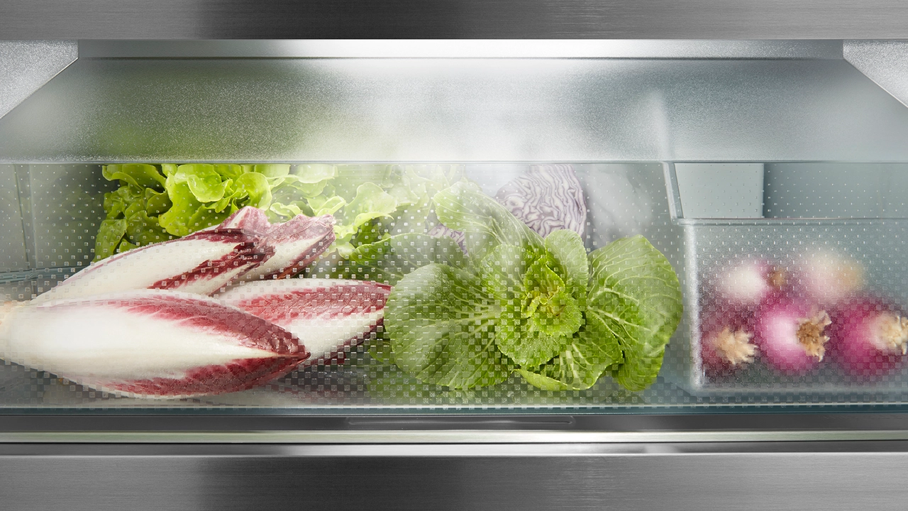 XRFbs 5295 Peak BioFresh NoFrost Side-by-Side combination